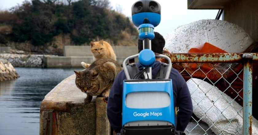 Google Street View Camera: House Cat for Remote Islands