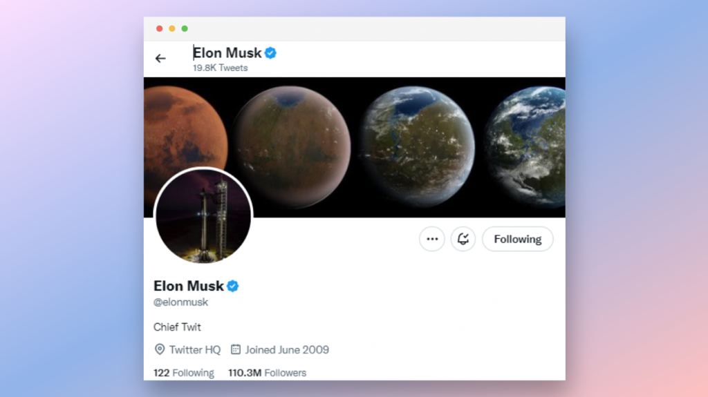 Elon Musk Chief Twit